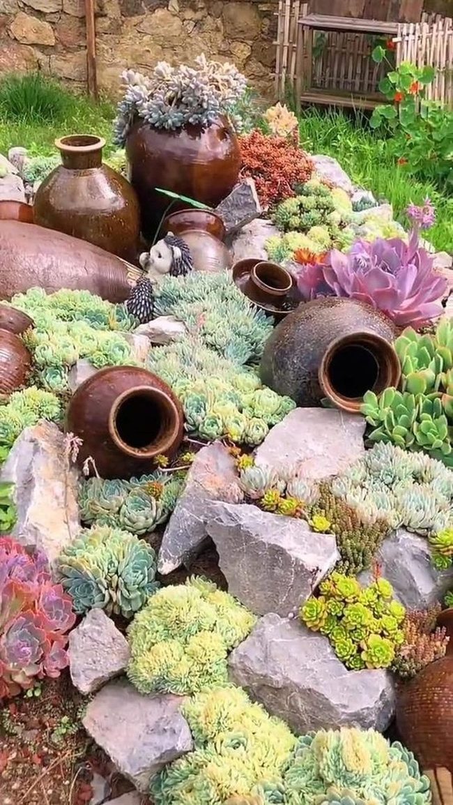 Purple Succulents Among Terra Cotta