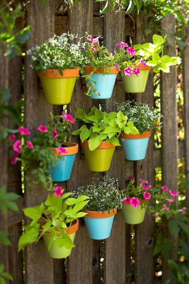 Flowering Vines Soften Wooden Fences