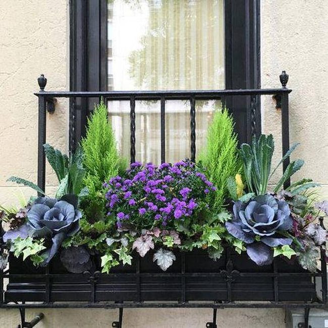 Deep Purple Vegetables In Terra Cotta