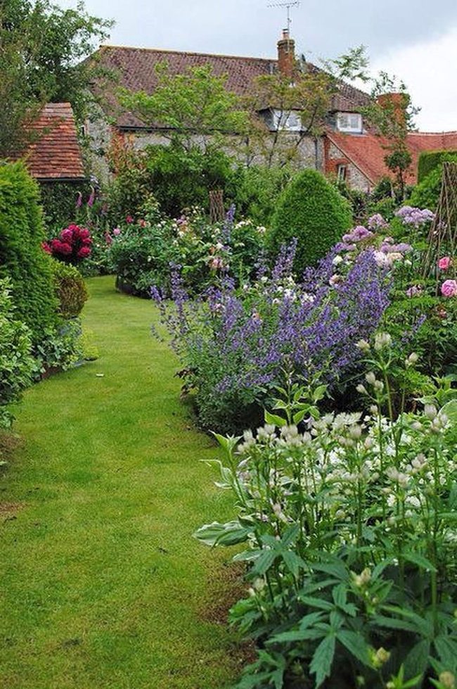 Purple And Pink Flowers Bloom Abundantly