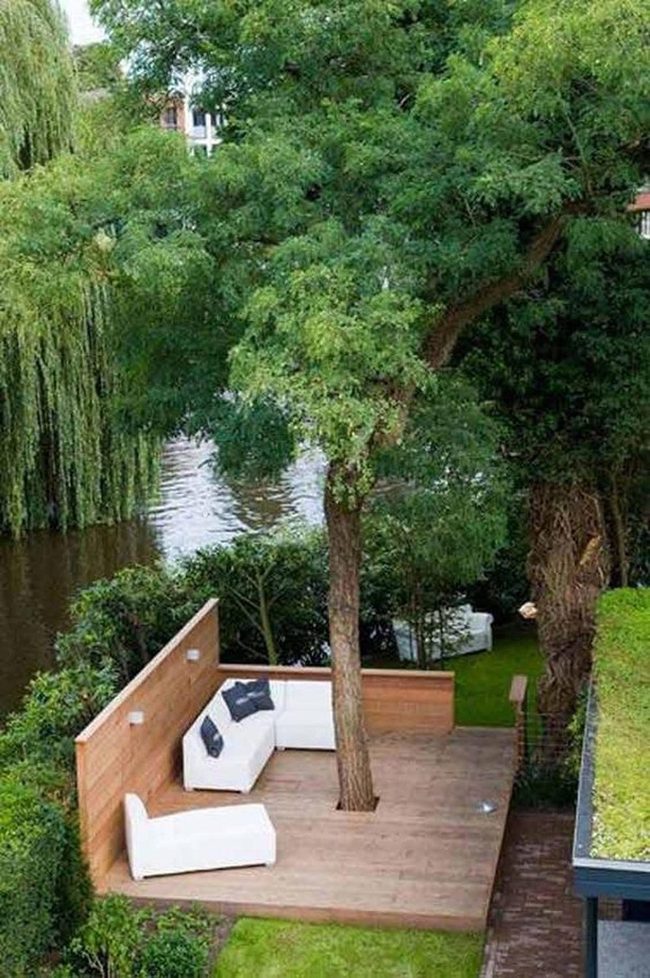 Wooden Deck Meets Wild Tree