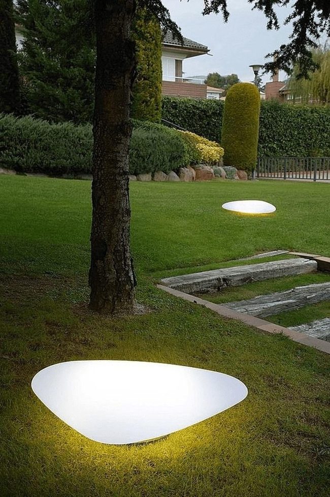 White Ground Lights Garden Evening