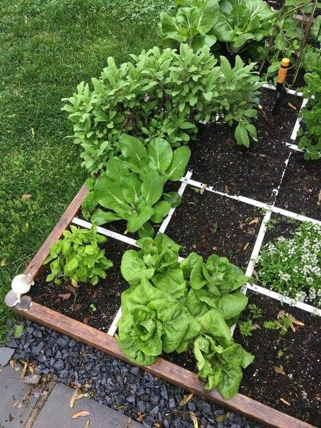 Green Rows Harvest Fresh