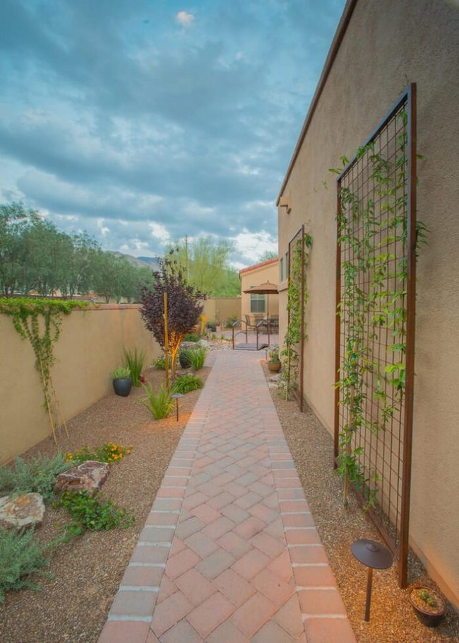 Desert Pathway With Climbing Vines