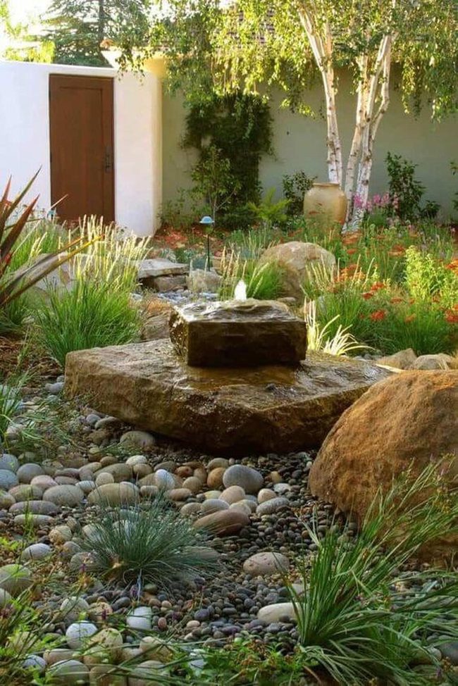 Flowing Water Among Living Plants
