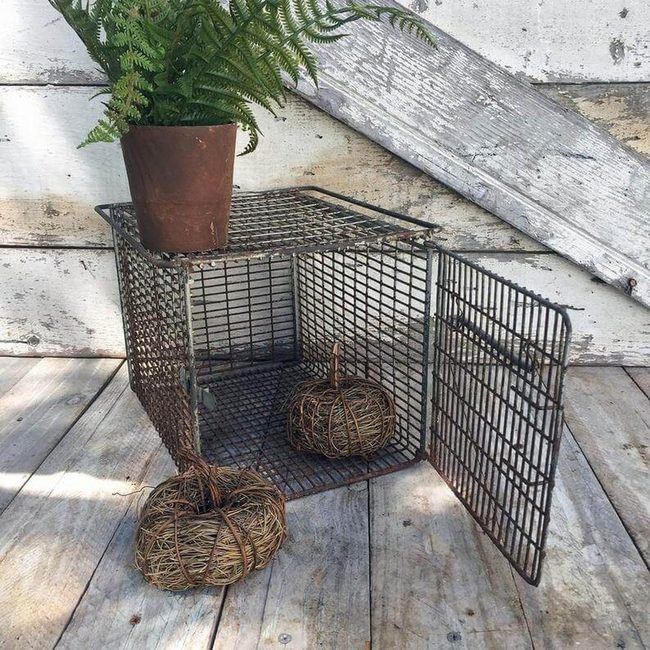 Repurposed Cage Plant Protector