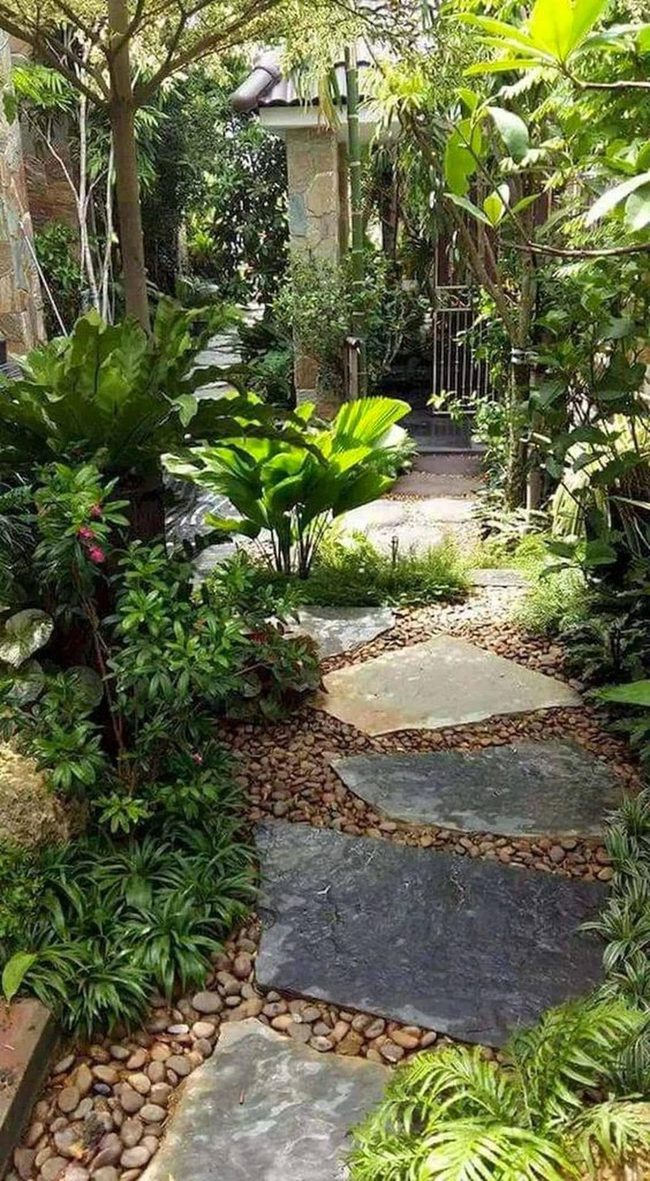 Pebbled Path Through Dense Green Canopy