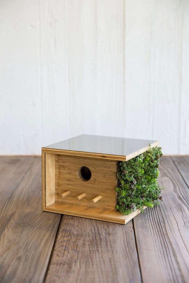 Moss-Covered Wooden Bird Shelter