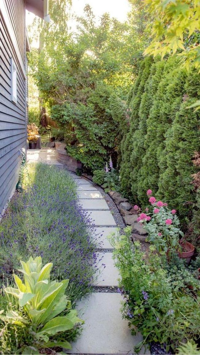 Lavender-Lined Garden Walkway