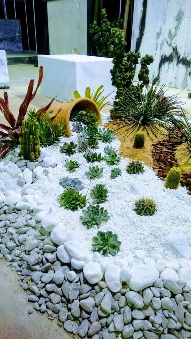 Smooth Pebbles Colorful Succulents Water