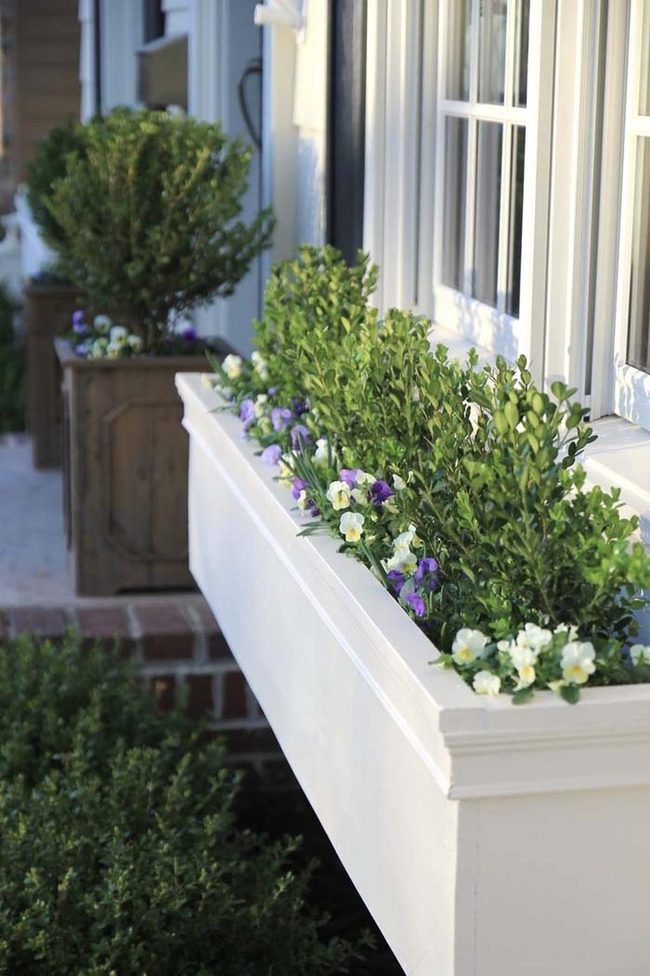 Wooden Window Boxes Full Bloom