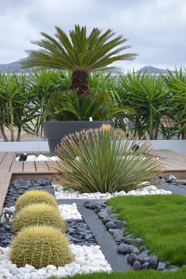 Black Stones, Green Plants, Pure Contrast