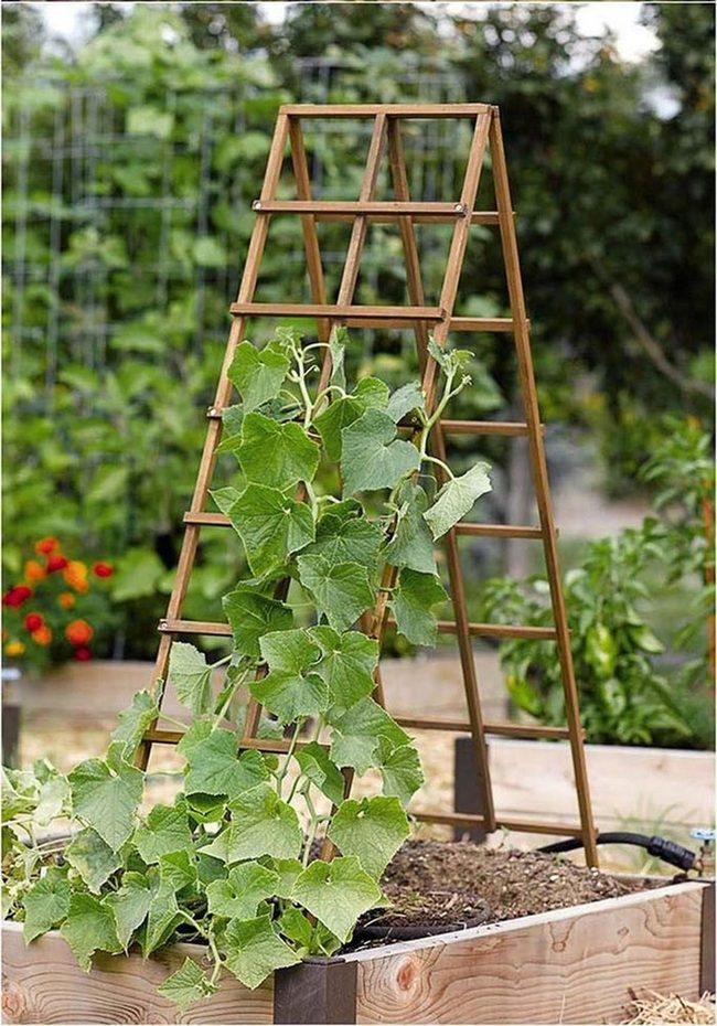 Wooden Ladder Garden Wall