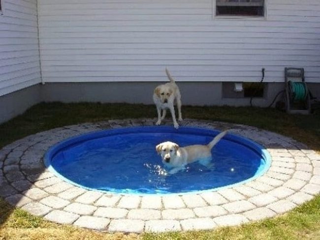 Concrete Foundation Backyard Water Feature