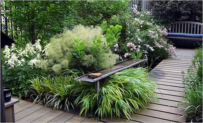 Wooden Path Through Blooming Garden