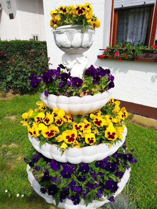 Purple And Yellow Pansy Waterfall