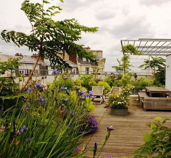 Green Rooftop Retreat From City