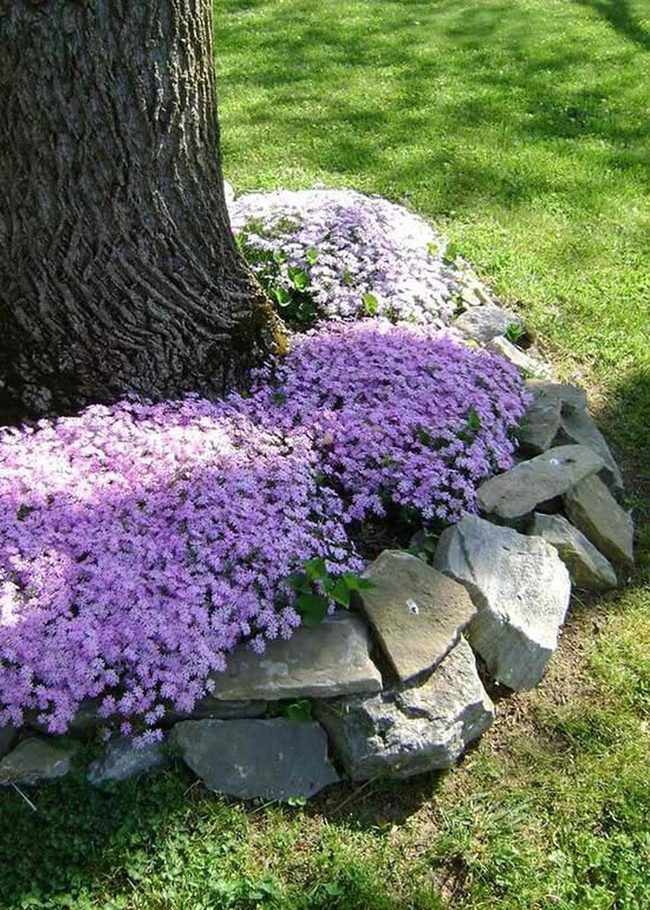 Blooming Tree Base With Stone Borders