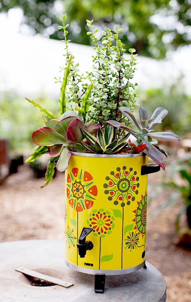 Tin Metal Succulent Gardens