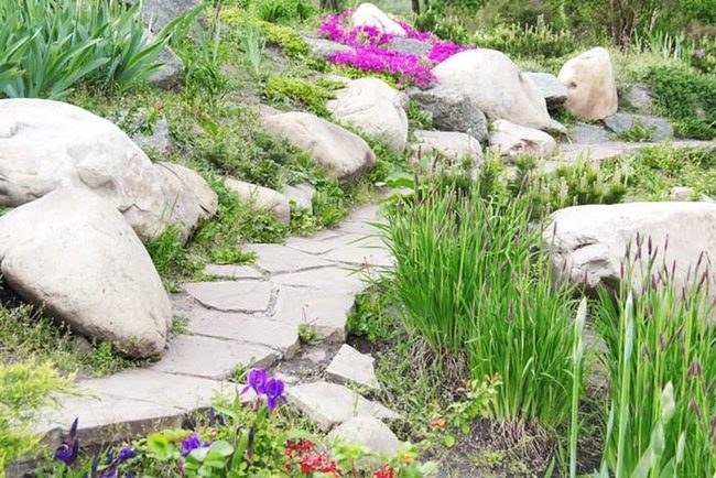 Stone Pathways Through Alpine Blooms