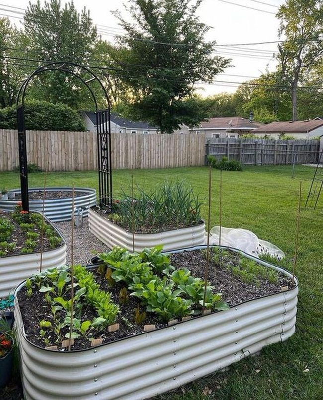 Fresh Produce Garden Beds Flourish