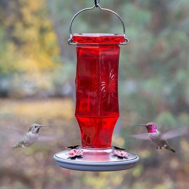 Red Glass Hummingbird Feeders Garden