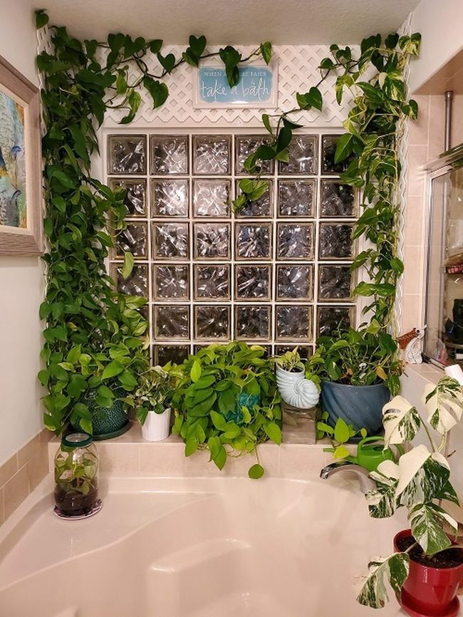 Cascading Green Bathroom Vines