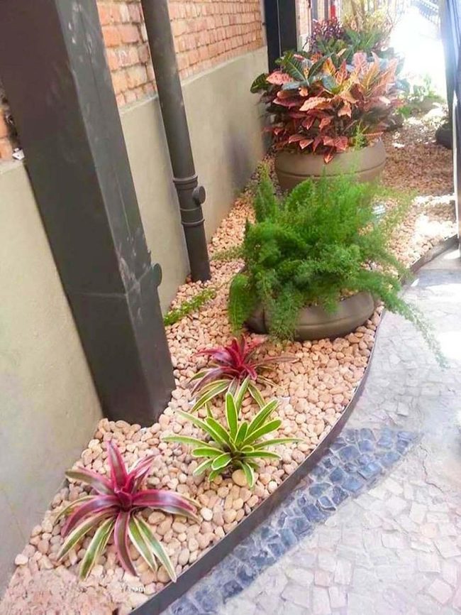 Tropical Plants Meet Industrial Stone