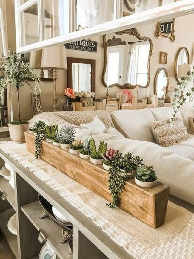 Green Succulents On Warm Wood