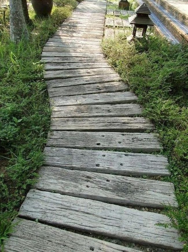 Weathered Wood Path Through Living Green