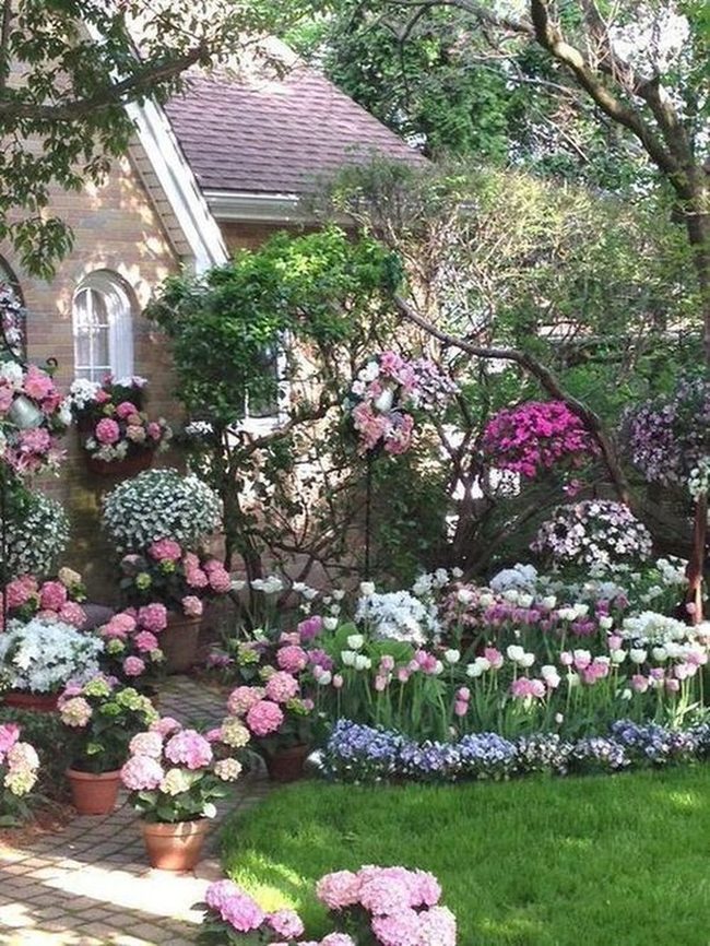 Blue, Pink, White Flower Clusters