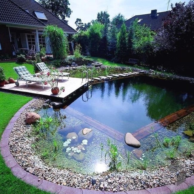 Green Garden Pool Oasis