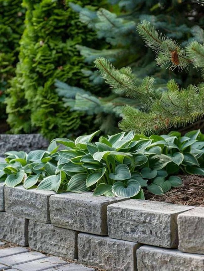 Gray Stone Garden With Layered Greenery
