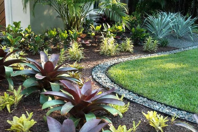Lush Purple Plants For Shade