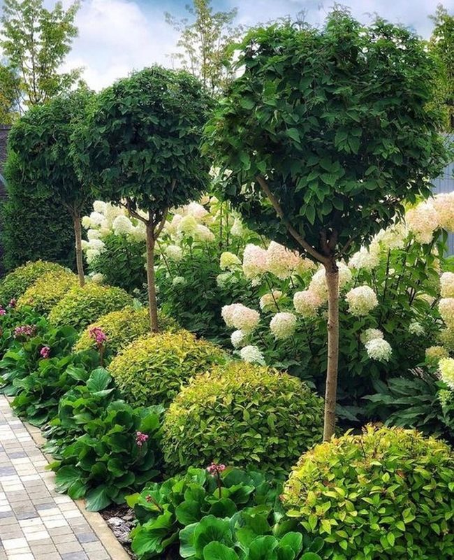 Stone Paths Through Green Sentinels