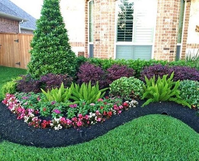 Bright Blooms Pop Against Dark Mulch