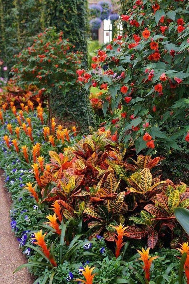 Fiery Croton Foliage Statement