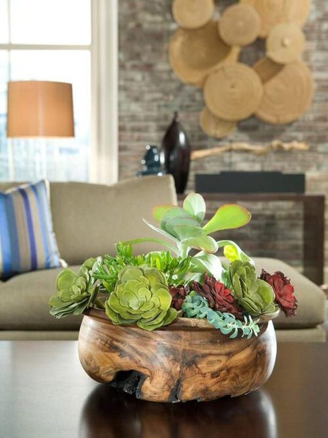 Green Succulents In Wooden Bowls