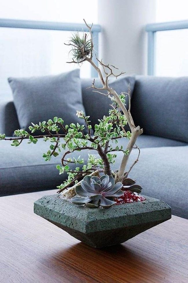 Sharp Angles Meet Living Green
