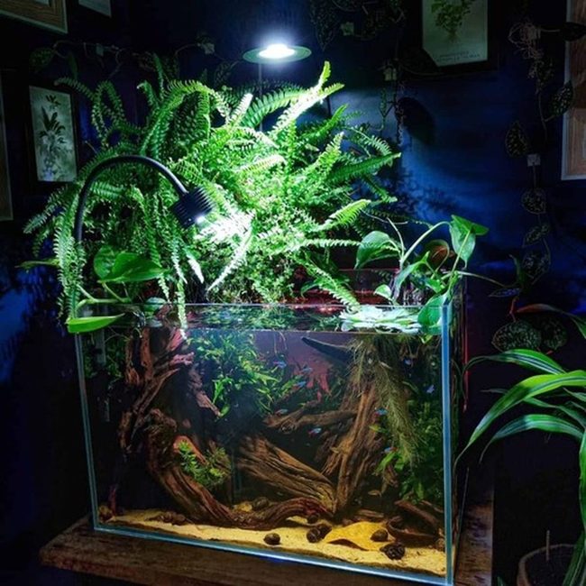 Cascading Green Aquatic Purifiers