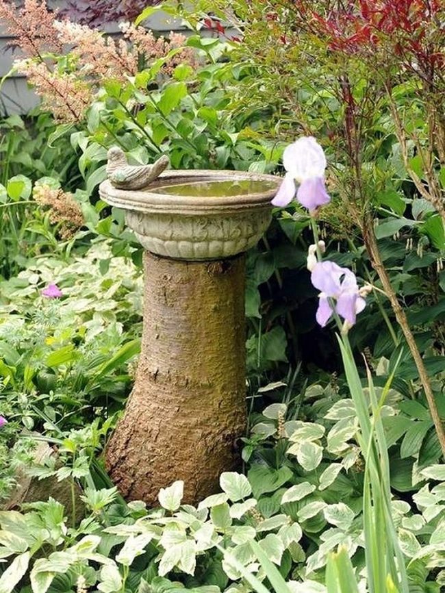 Stone Basin On Natural Wood Pedestal