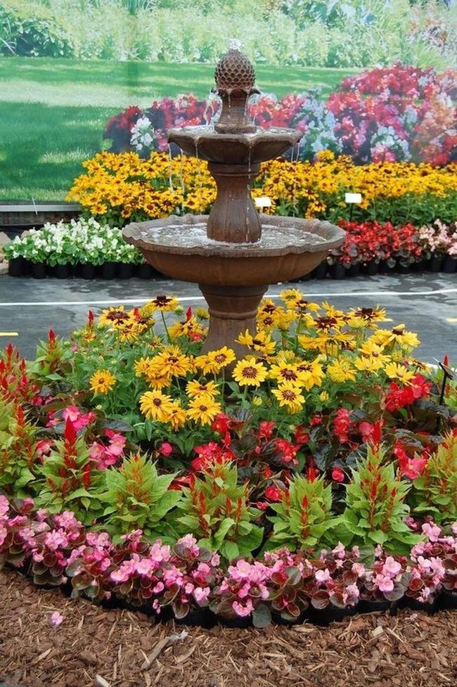 Fountain Blooms Yellow Pink