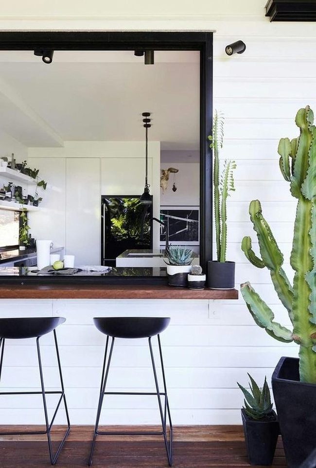 Green Cacti Meet Modern Minimalism