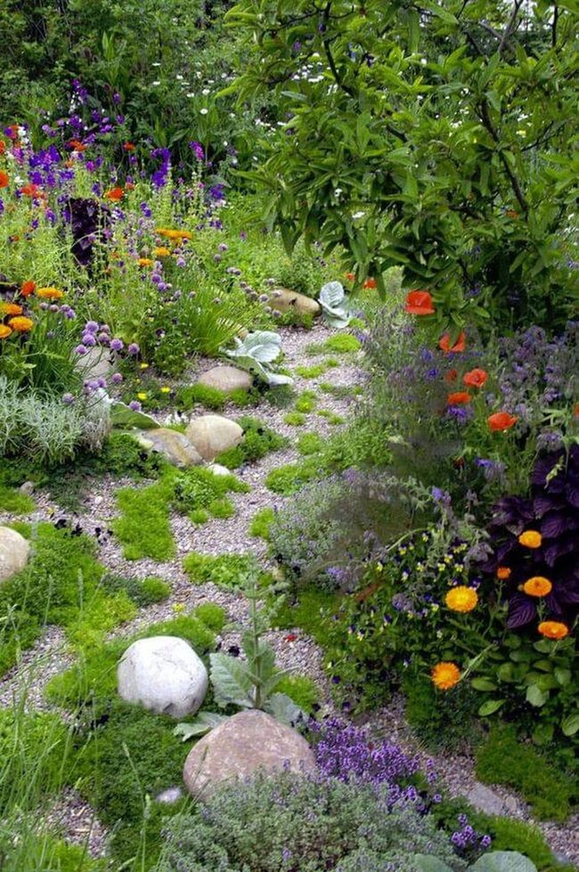Blooming Path Of Orange, Purple, Yellow