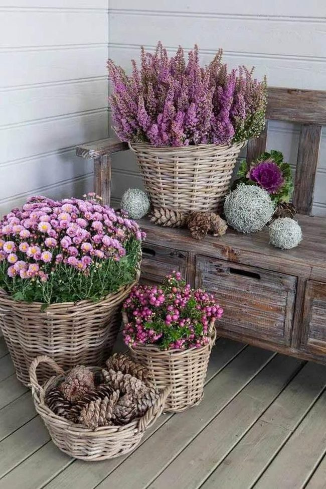 Natural Fiber Plant Baskets