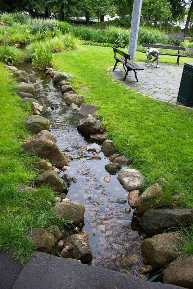 Flowing Water Through Living Green