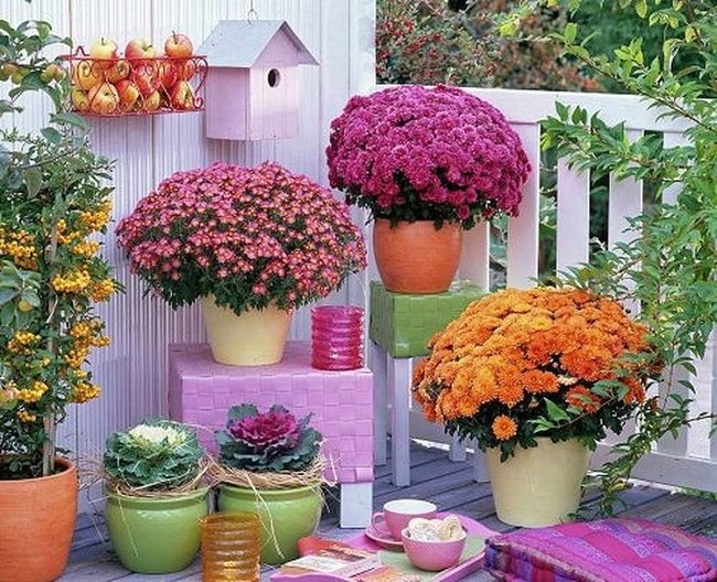 Autumn Bronze Balcony Garden