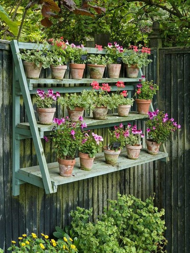 Vertical Garden Ladder Walls