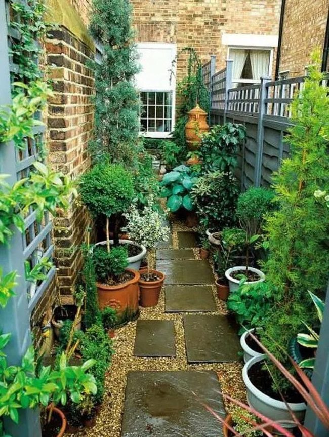 Stone Pathway Through Filtered Shadows