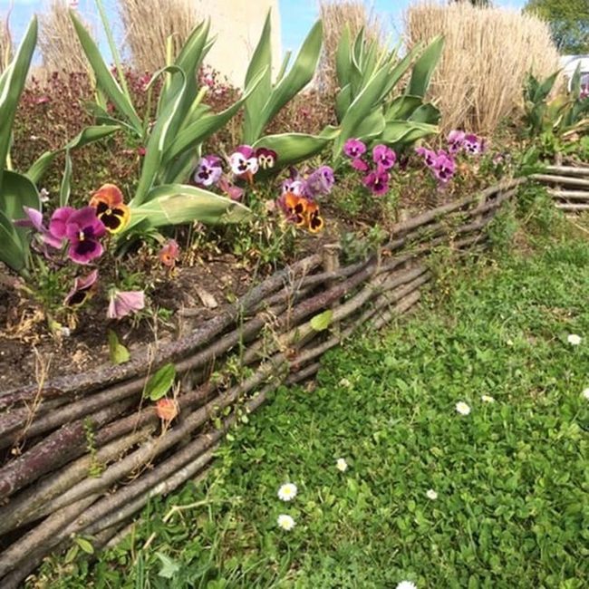 Natural Woven Garden Frame